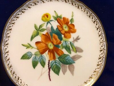 Ant Mid 19th Century Hand Painted Copeland English Spode Botanical Cabinet Plate 3