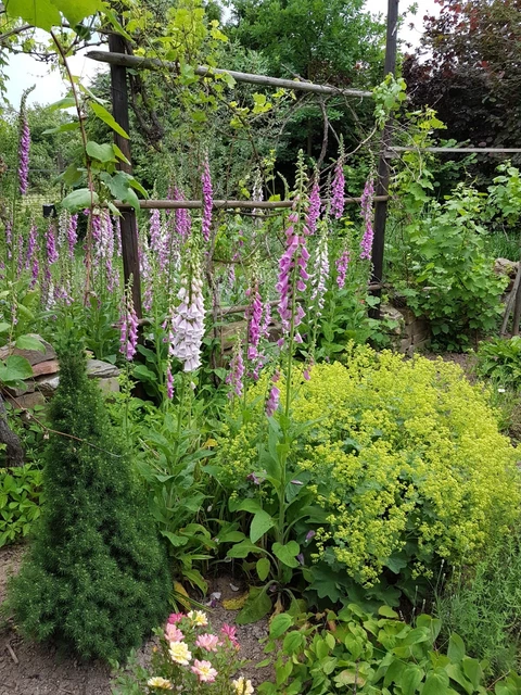 Gartengrundstück in Dreieich-Sprendlingen