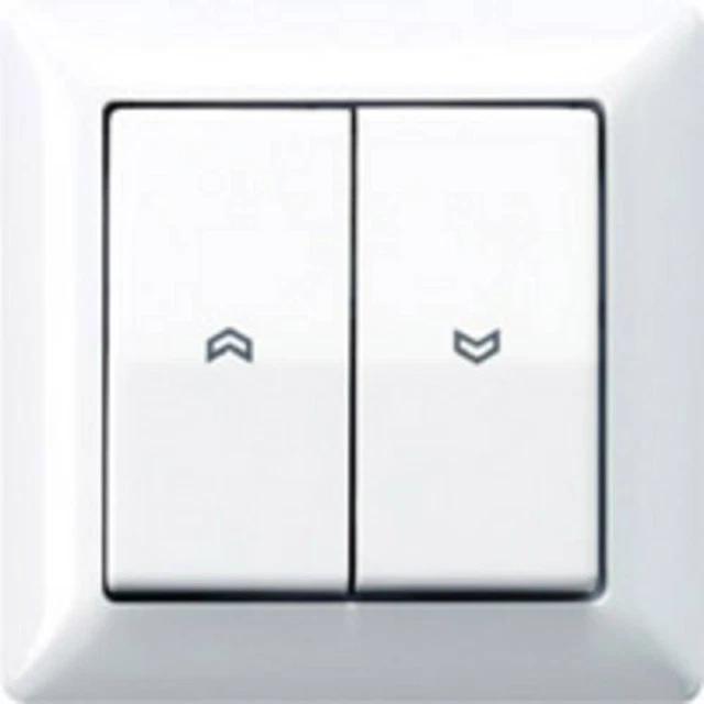Jung simple Insert Bouton-poussoir blanc-alpin AS590-5PWW
