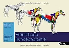 Arbeitsbuch Hundeanatomie: Eine Lernhilfe für Stude... | Buch | Zustand sehr gut