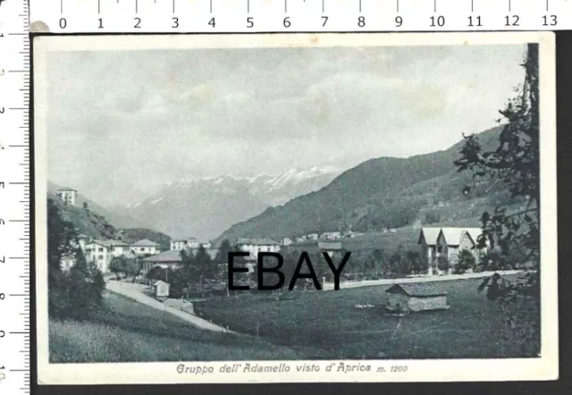 Cartolina Aprica Sondrio Adamello