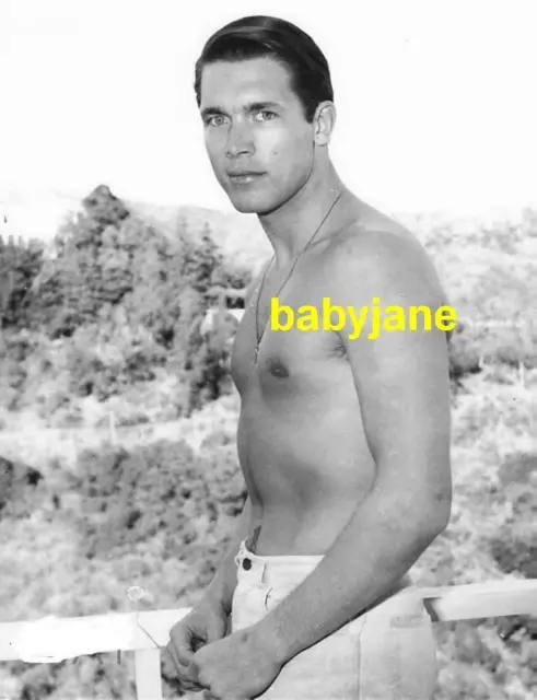 039 Chad Everett Young Barechested Beefcake Photo