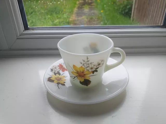 Lovely Vintage Glass Pyrex Autumn Glory Cup & Saucer