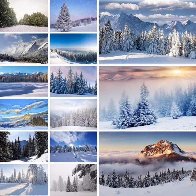 Winter Background Cloth Photography Snow View Forest Backdrop Props Photo Decor