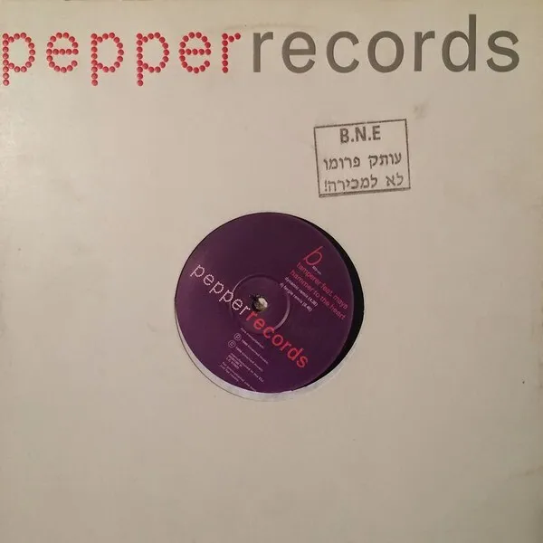 The Tamperer feat. Maya - Hammer To The Heart (12", Promo)