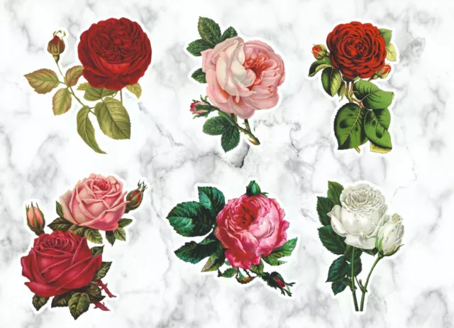 x6 Rose Flowers Colourful Stickers Wall Art Room Vinyl f1
