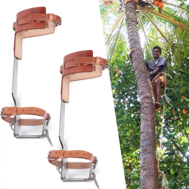 Stainless Tree Climbing Spikes Gaffs Spur with 2x Ankle Straps Pair Cattle Hide