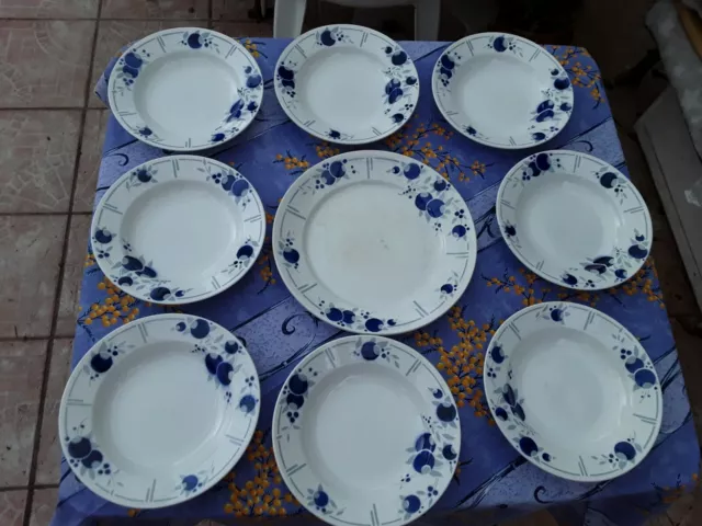 1 lot de  8 assiettes creuses et d'un plat rond St Amand Modèle Vincent france