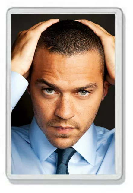 Jesse Williams (Jackson Avery - Grey's Anatomy) Fridge Magnet *Great Gift*