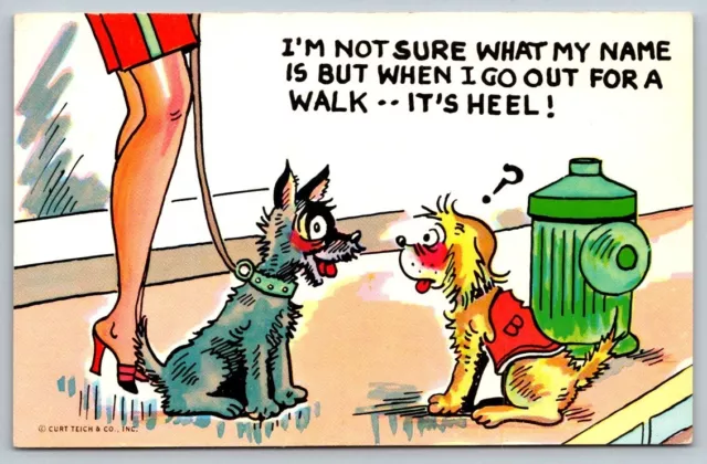 Vintage Saucy Cartoon Humor Postcard - Dogs out For A Walk
