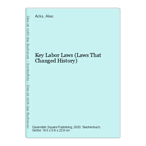 key-labor-laws-laws-that-changed-history-acks-alex-390880392-16-75