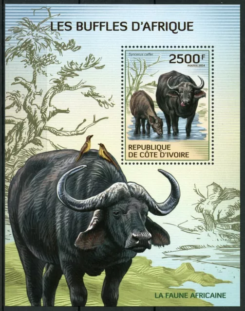 Ivory Coast Wild Animals Stamps 2014 MNH African Buffalo Buffaloes Fauna 1v S/S