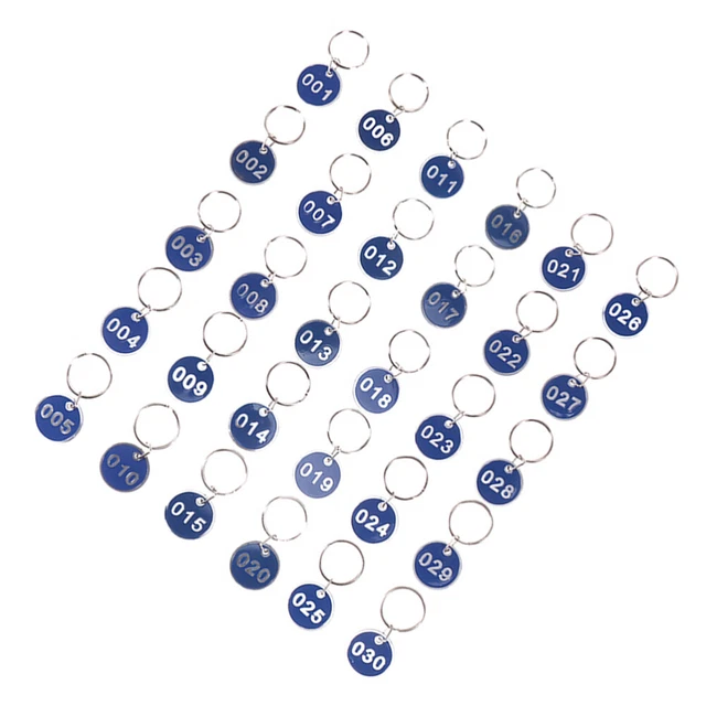 100 Pezzi Etichette in Plastica con Numero, 1-100 Dischi Numerici 100 Pezzi Etichette in Plastica con Numero, 1-100 Dischi Numerici