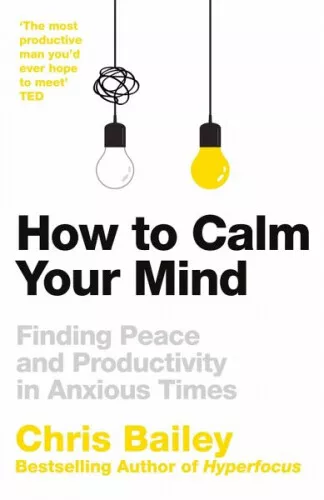 How to Calm Your Mind|Chris Bailey|Broschiertes Buch|Englisch