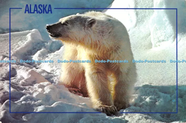 D064164 Alaska. Polar Bear. Arctic Circle Enterprises. 1991