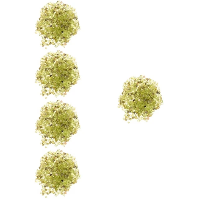 5 sacchetti peridoto pietre per piante cristallo ciottoli pietre da terrario