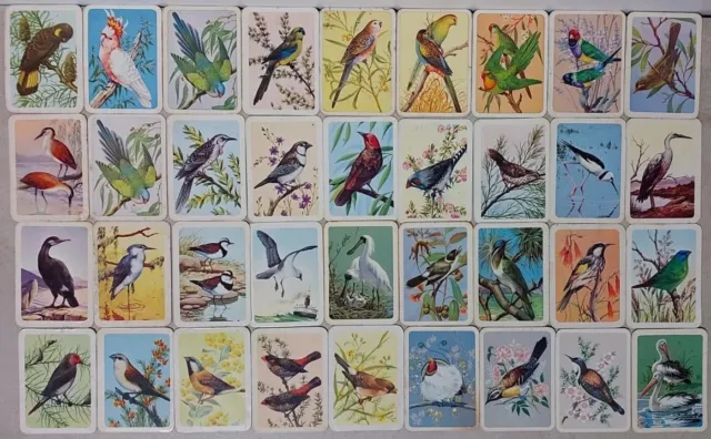 Tuckfields Australian Series Bird & Animals Cards Lot of 88 Collector Swap