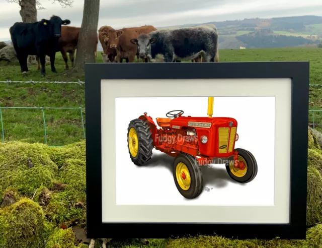 David Brown 880 Tractor Mounted or Framed Unique Art Print fudgy draws present