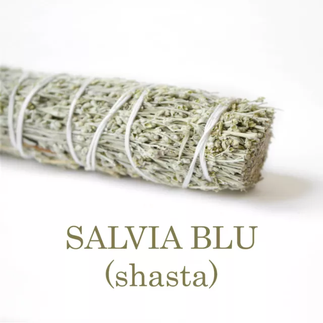 SALVIA BLU SMUDGE Incenso Naturale erba per bruciare salvia bianca EUR 5,99  - PicClick IT