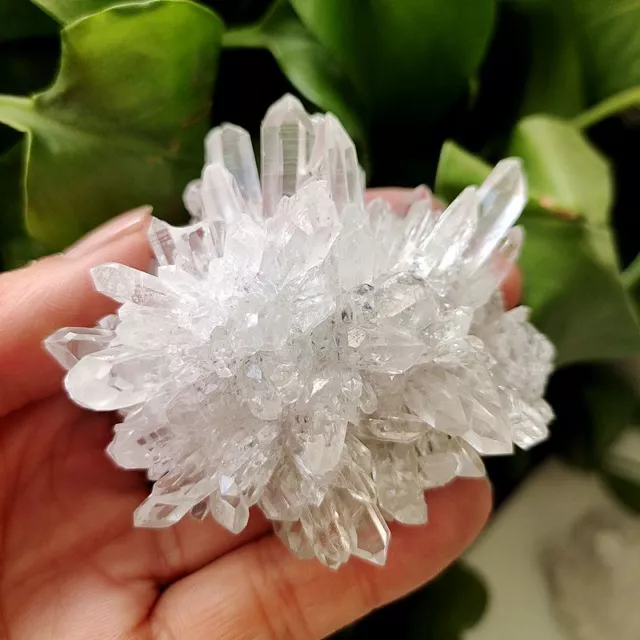 Natural Quartz Crystal Point Stone Cluster Aura Rainbow Titanium Specimens Reiki