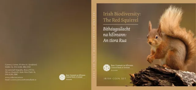 Offizielen KMS Irland 2023 :  The Red Squirrel / das rote Eichhörnchen