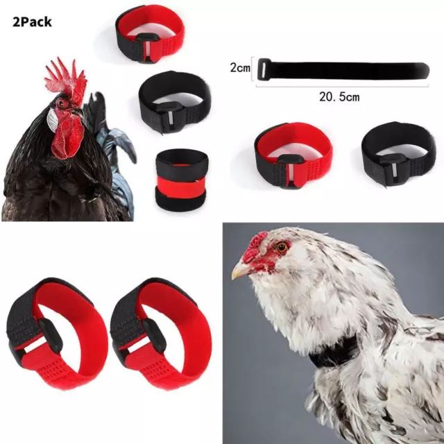 2 Stück No-Crow Rooster Collar No Crow Noise Halsgürtel Für Roosters Red