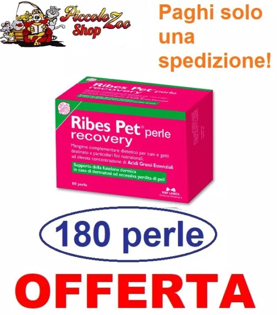 RIBES PET RECOVERY cane e gatto 180 perle integratore per dermatiti e  allergie EUR 73,99 - PicClick IT