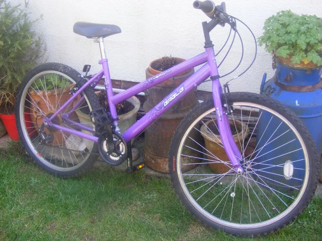 British eagle ladies bike on sale