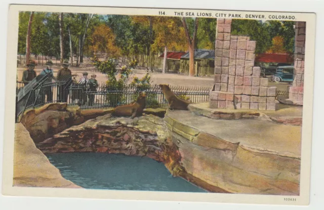 Sea Lions, City Park, Denver, CO, Pre-Linen Postcard
