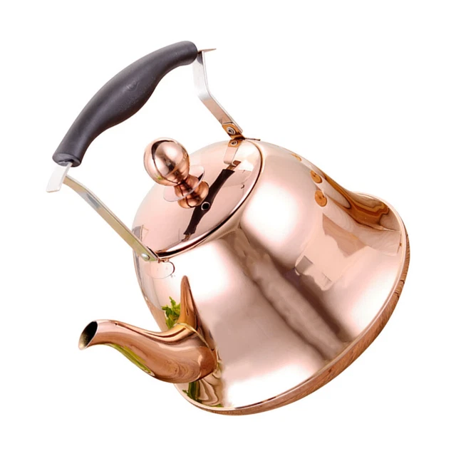 Whistling Tea Pot Stainless Steel Kettle Stainless Tea Kettle Coffee
