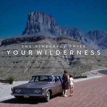 The Pineapple Thief - Your Wilderness - New Vinyl Record Vinyl - V1398A