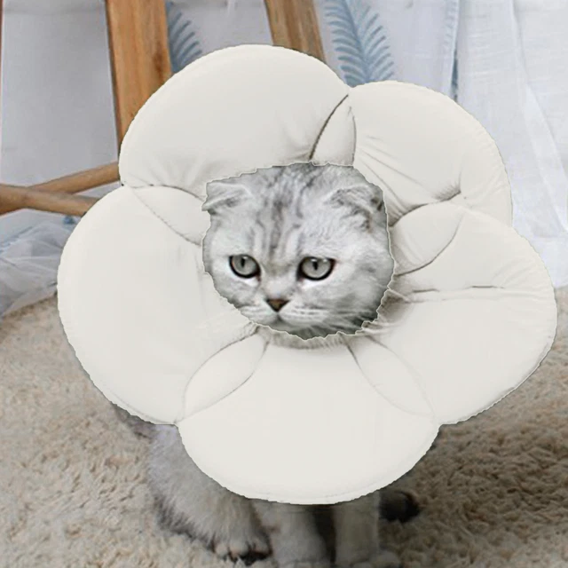 Cuello electrónico ajustable antimordedura para gato con forma de flor para mascotas gato cuello cono reutilizable