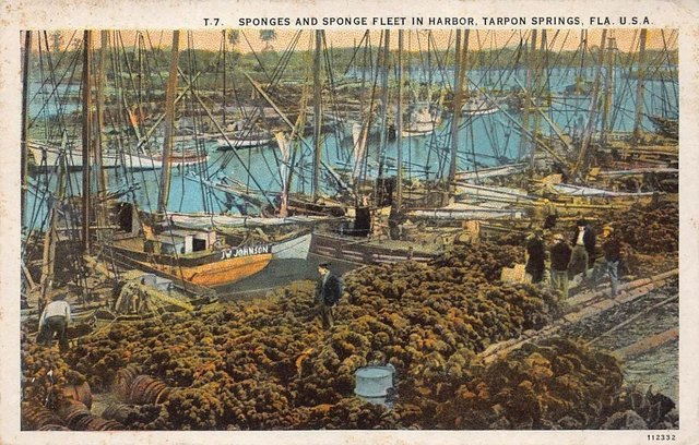 Tarpon Springs FL Florida Harbor Sponge Fleet Ships Boats 1920s Vtg Postcard P6