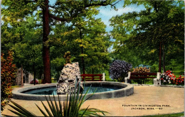 Jackson Mississippi MS Livingston Park Fountain Postcard