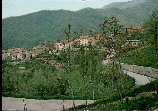 FOSSATO - Barberino di Mugello - Firenze - Panorama - Non viaggiata
