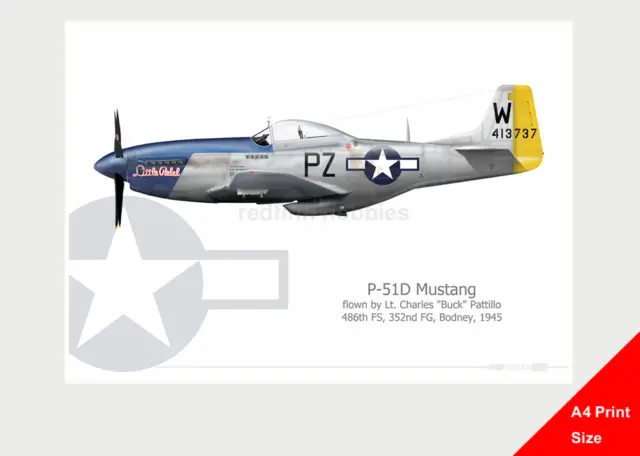 Warhead Illustrated P-51D Mustang Little Rebel A4 Aircraft Print