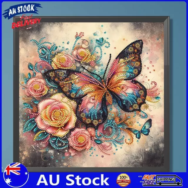 AU 5D DIY Partial Special Shaped Drill Diamond Painting Kit Butterfly Decor 30x3