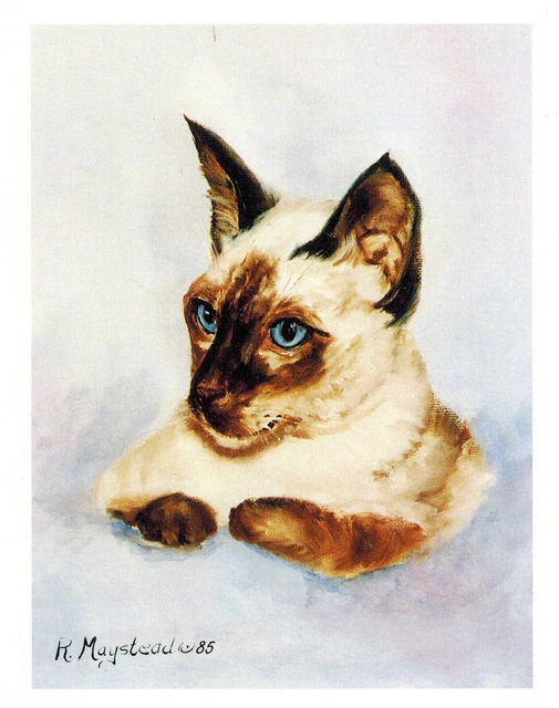 New Siamese Cat Head Study Notecard Set - 12 Blank Note Cards By Ruth Maystead