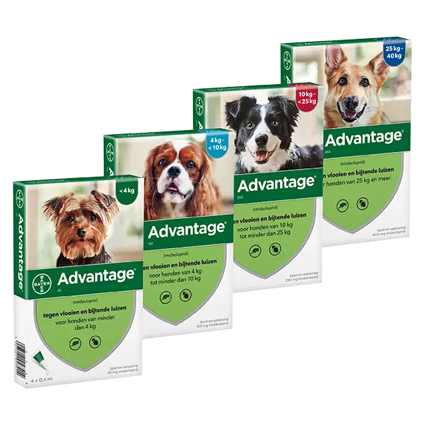 Advantage¹perro dog anti pulga fleas treatment 1-40 kg varios tamanos 4 pipetas