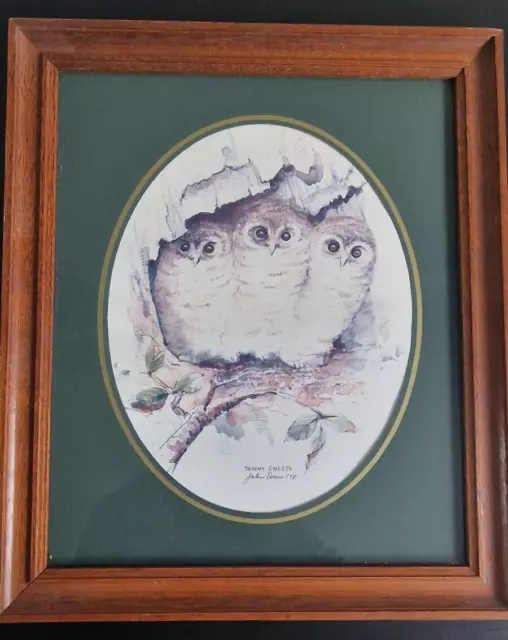 Tawny Owl Owlets Framed Print Wildlife Vintage John Evans