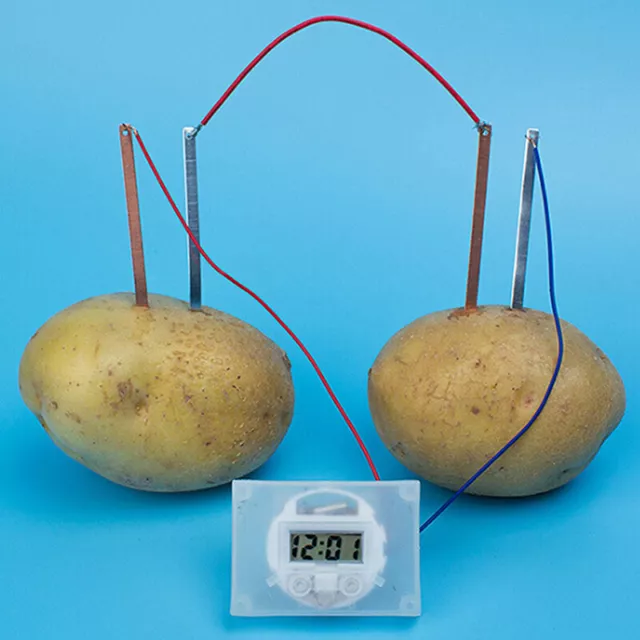 Children bio energy science kit fun potato supply electricity experiments t`uk