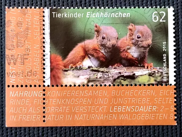 BRD 2015 MiNr. 3124 Tierbabys (III) Europäisches Eichhörnchen ECKE  BZ-Stempel