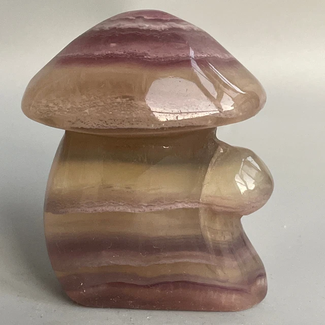 338g Natural Fluorite Mushroom Quartz Crystal Mushroom tree Reiki Healing Gem