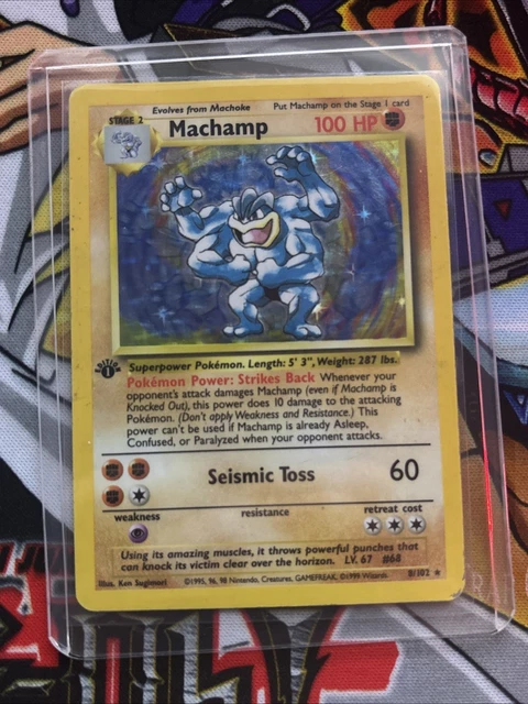 psa graded card protector Dragonscale Supplies