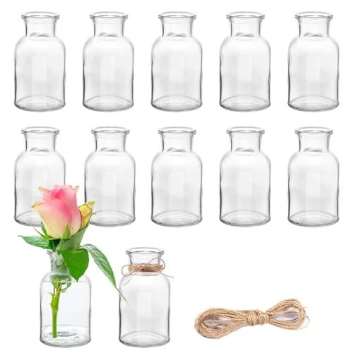 LOT DE 12 Mini Vases en Verre, 125 ML Petits Vase à Fleurs, vases de