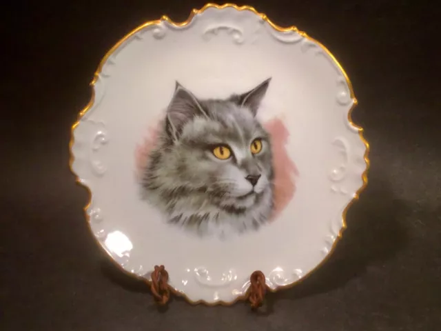 Porcelain Cat Plate