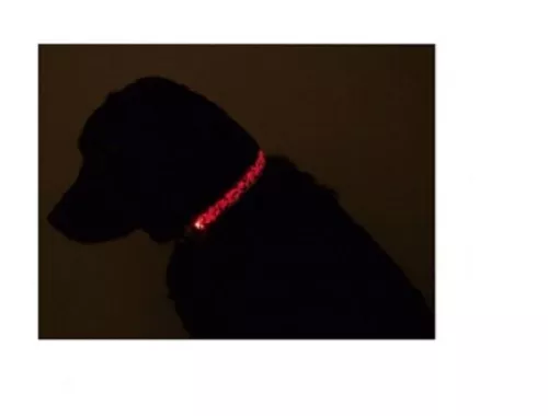 (10) NEW LED Light Lighted Adjustable Dog Puppy Safety Small Collar- Wholesale 3