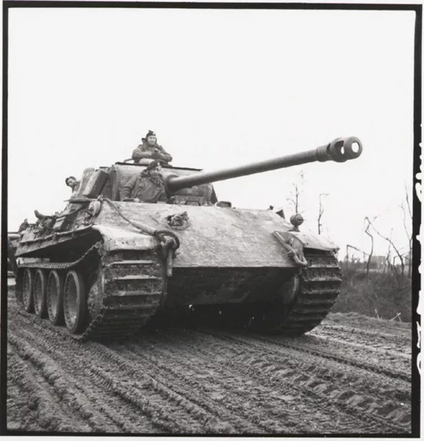 6x4 Gloss Photo ww465D World War 2 II WW2 War Photos German Panther Tank