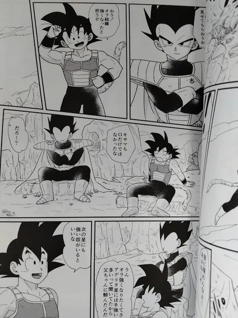 Dragon Ball Doujinshi Goku X Vegeta B5 128pages Level D Eur 53 81 Dragon Ball Doujinshi Goku X Vegeta B5 128pages Level D Eur 53 81