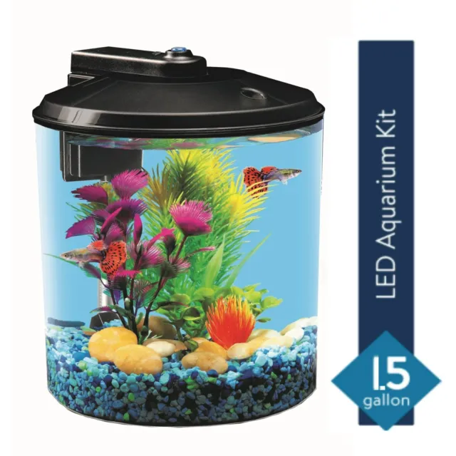 New Aquarium Kit LED Lighting Internal Filter, 1.5-Gallon Home Office Desk Tank!